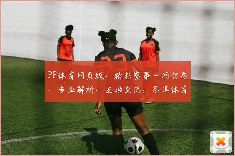 PP体育网页版，精彩赛事一网打尽，专业解析，互动交流，尽享体育盛宴