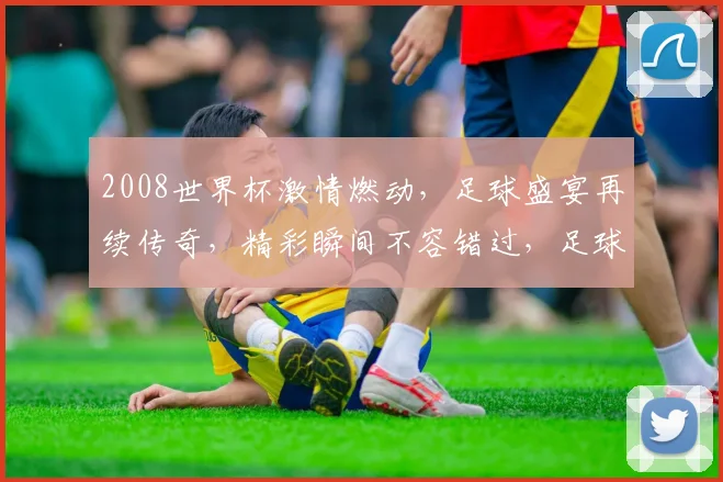 2008世界杯激情燃动，足球盛宴再续传奇，精彩瞬间不容错过，足球迷必看
