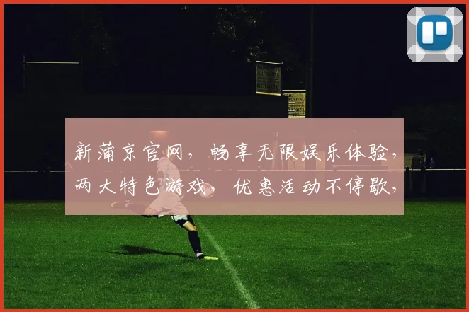 新蒲京官网，畅享无限娱乐体验，两大特色游戏，优惠活动不停歇，必看攻略